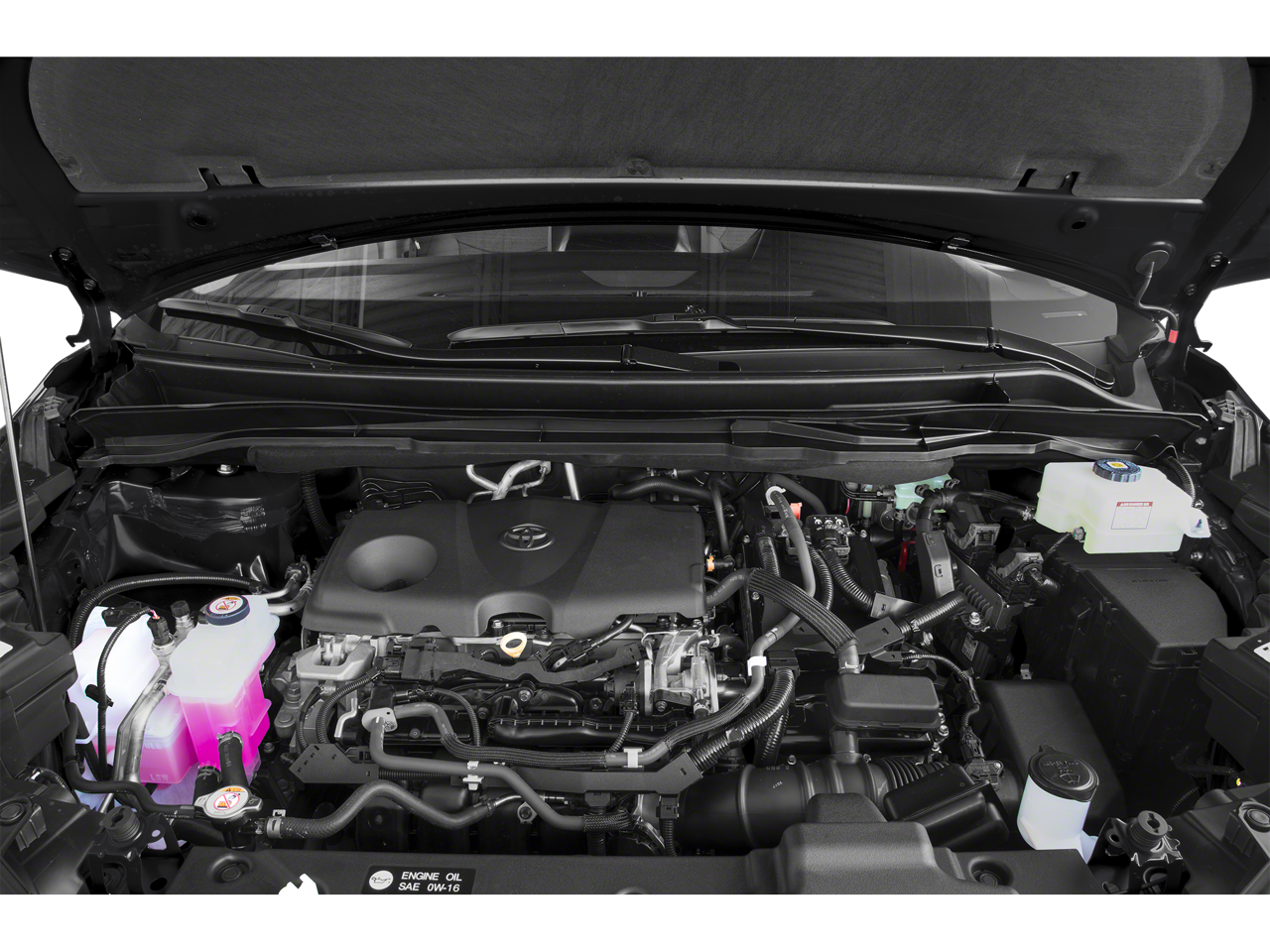 2024 Toyota Sienna LE 8 Passenger