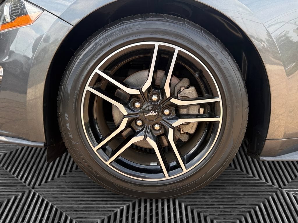 2019 Ford Mustang EcoBoost
