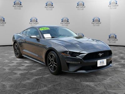 2019 Ford Mustang EcoBoost