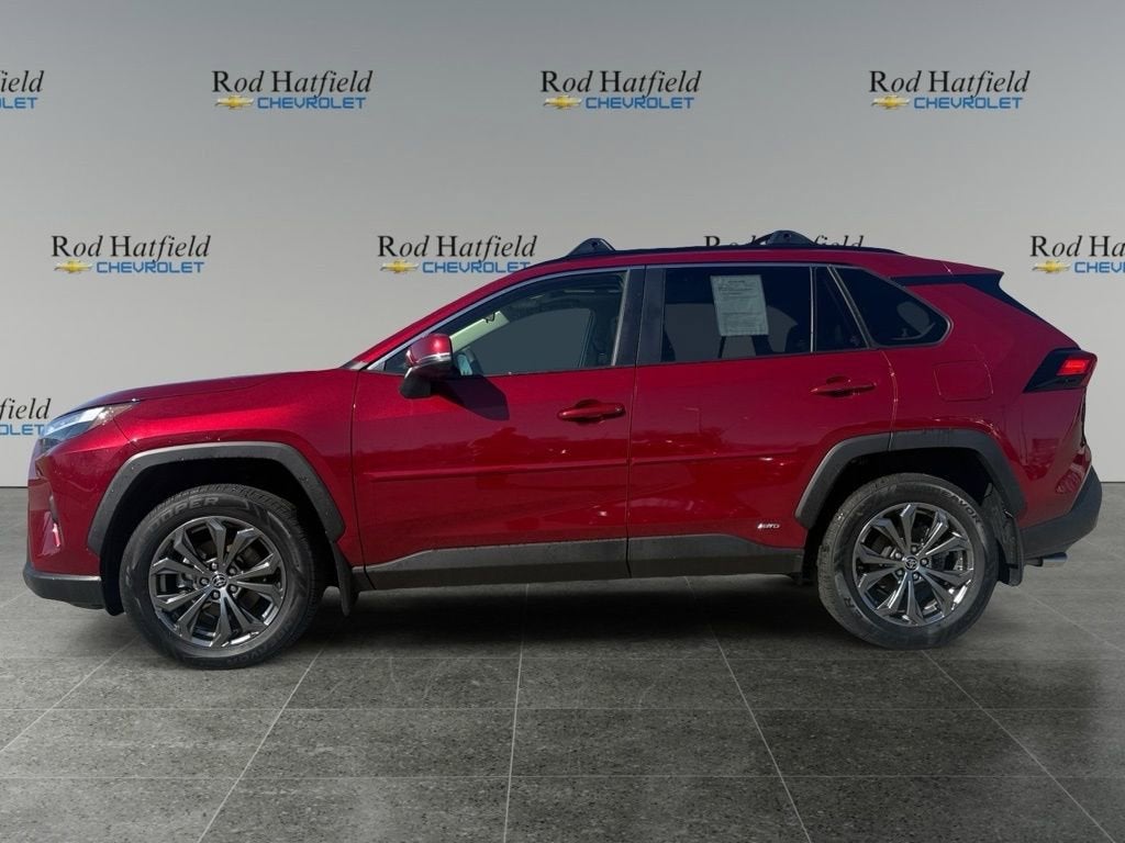2025 Toyota RAV4 Hybrid XLE Premium