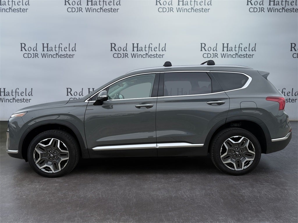 2023 Hyundai Santa Fe Hybrid SEL Premium