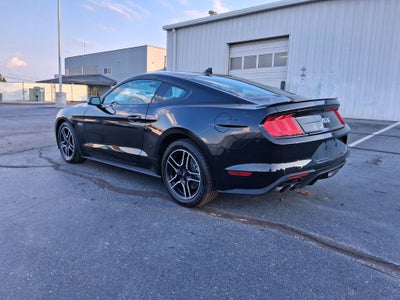 2023 Ford Mustang GT