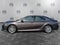 2019 Toyota Camry XLE